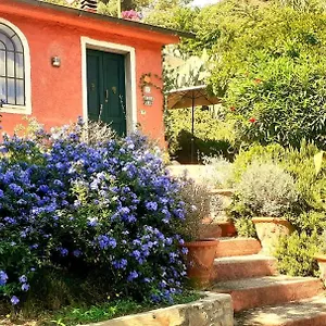 Simo , Portoferraio Italia